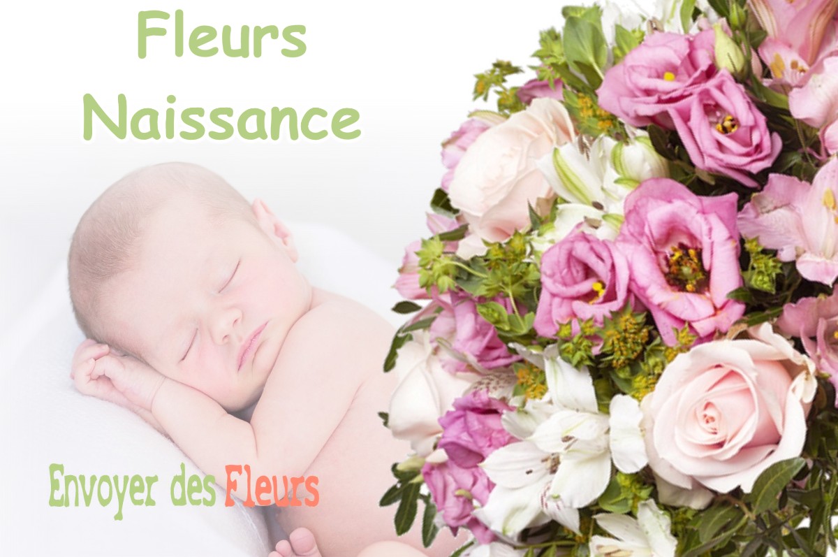 lIVRAISON FLEURS NAISSANCE à ROYAS